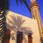 medium_mosque_w_tree_kuwait